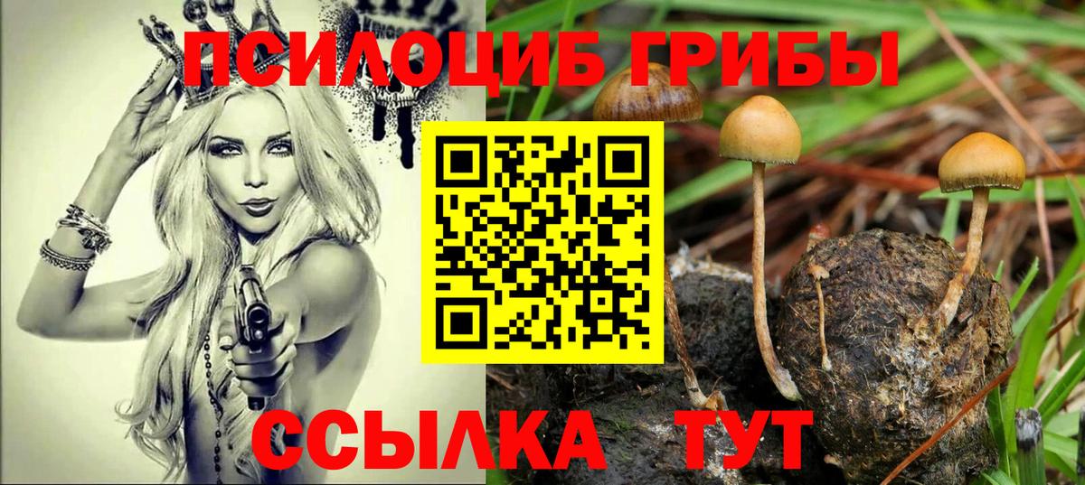 Галлюциногенные грибы Magic Shrooms Когалым